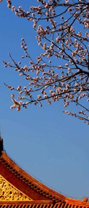 并找到共